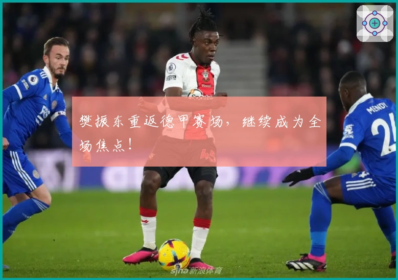 樊振东重返德甲赛场，继续成为全场焦点！