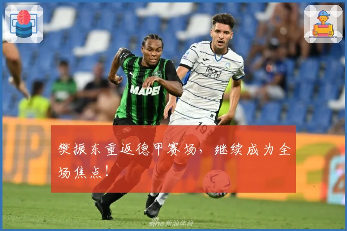 樊振东重返德甲赛场，继续成为全场焦点！