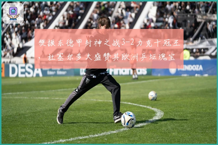 樊振东德甲封神之战3-2力克十冠王，杜塞尔多夫盛赞其欧洲乒坛瑰宝