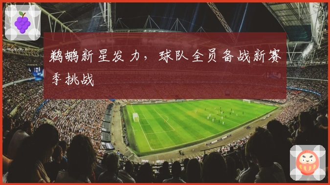 鹈鹕新星发力，球队全员备战新赛季挑战